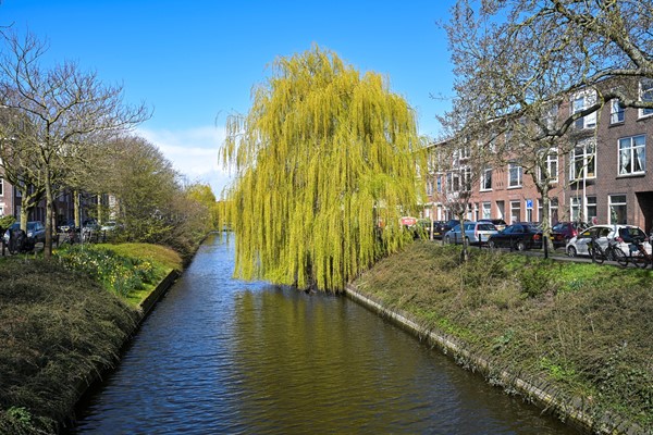 Medium property photo - Hendrik van Deventerstraat 127, 2563 XS Den Haag